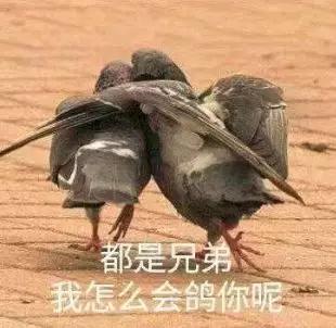 有痔青年如何远离痔疮,有痔青年怎么治