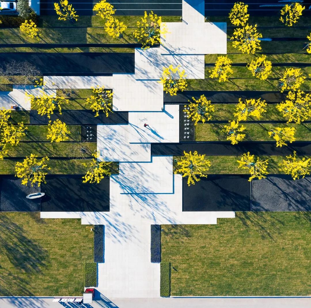 2019鸟瞰图,推荐鸟瞰图