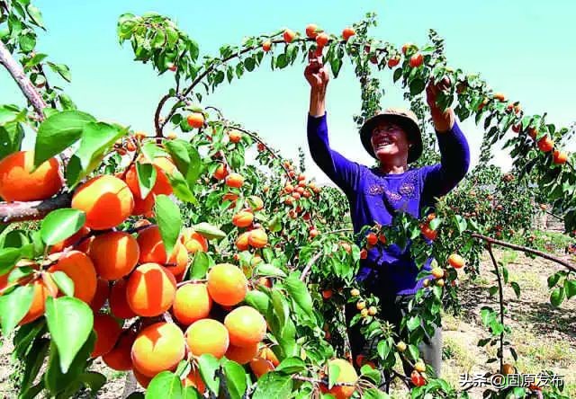 70年·夸夸我的城｜固原：吾心安处是吾乡，蓄势待发未来可期！