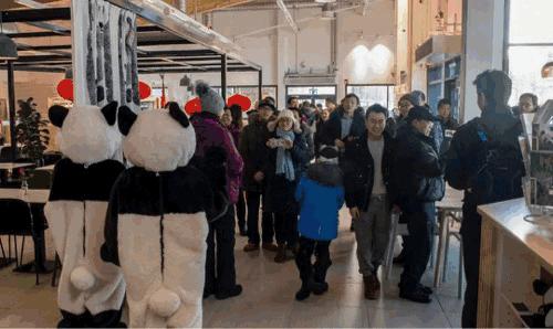 都江堰中华大熊猫苑熊猫宝宝,大熊猫金宝宝和华豹