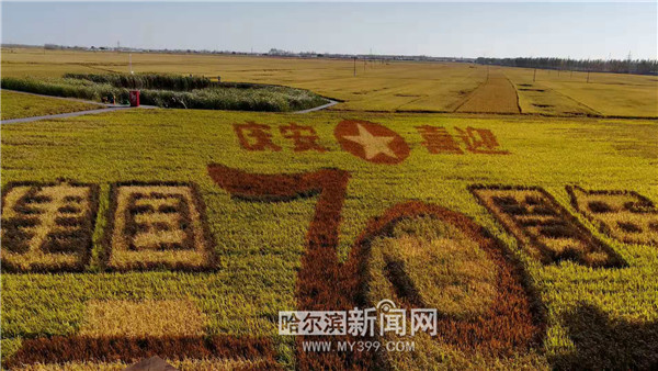 【新时代东北振兴】绥化：生金长银的“都城地”美好生活的“桃花源”