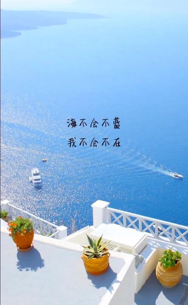 解酒护肝心肝宝贝,心肝宝贝护肝