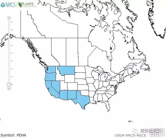 改变世界的植物,改变世界历史的植物