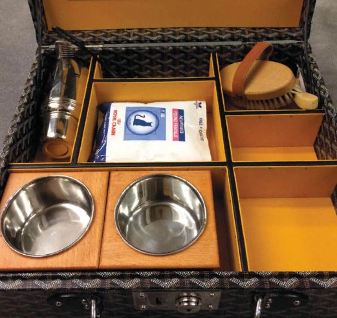 21亿遗产的猫现在怎么样了,失踪多年的猫终于回来了