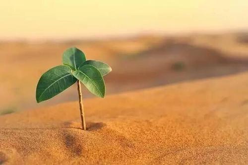 带来持久改变的7种鞋垫,持久的改变