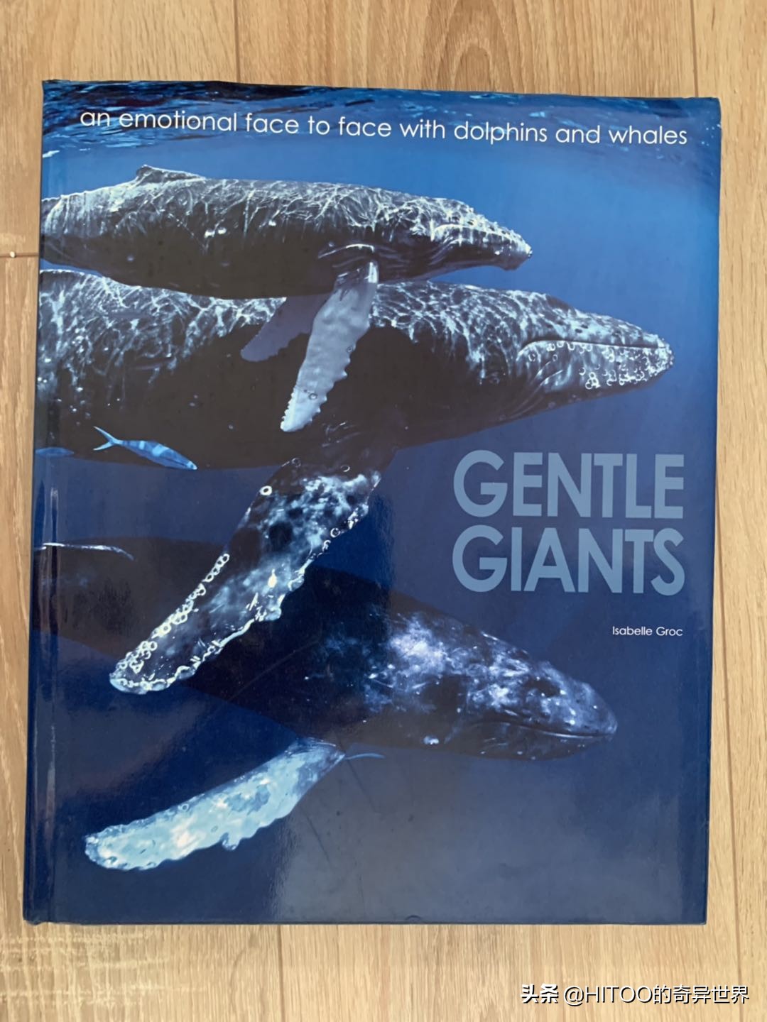 新手去菲律宾买什么比较好,在菲律宾买地靠谱吗