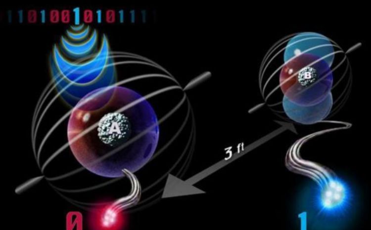 爱因斯坦神秘图片,首张量子纠缠图曝光
