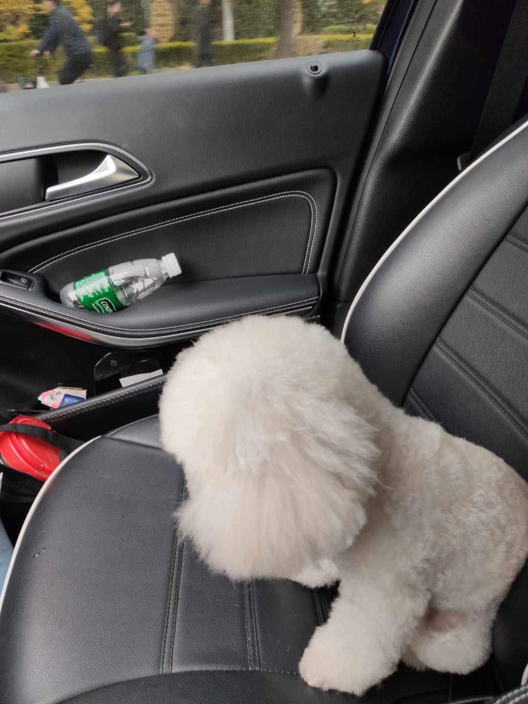 小宠智能喂食器,小顽智能宠物喂食器测评