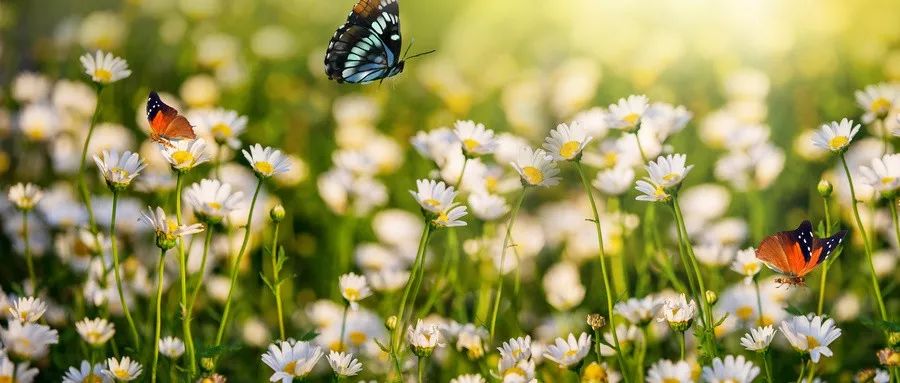一个人越来越有福气的3个迹象,一个人有福气的四种表现