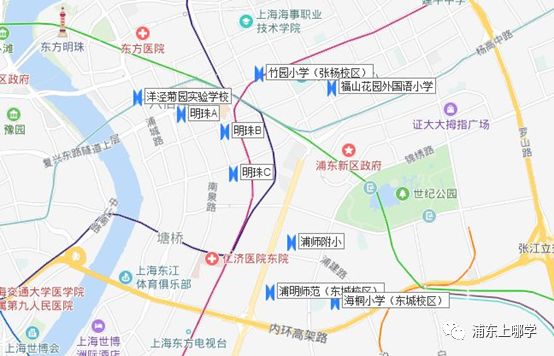 浦东最强摇号片区!公办巨头坐镇,随便摇都是好学校