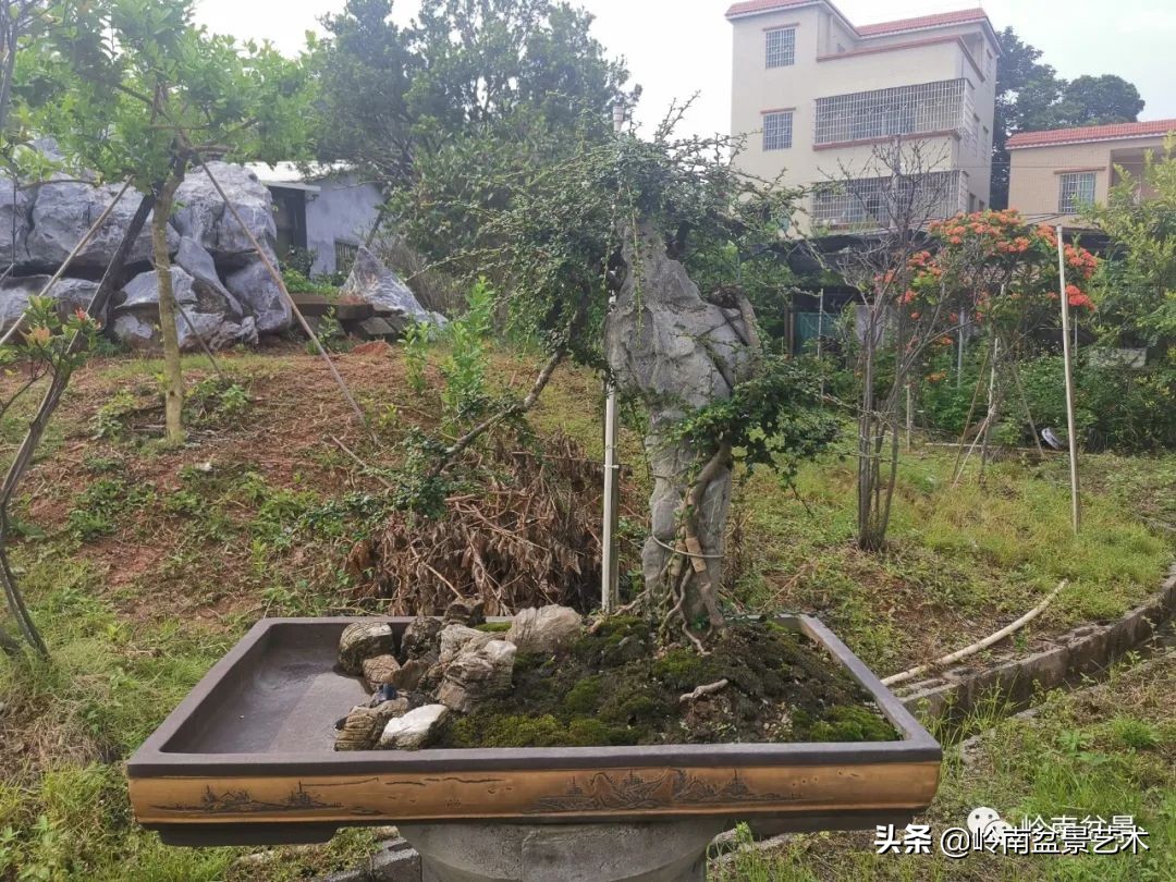 绿色金融业务发展好的银行,绿色银行的前景