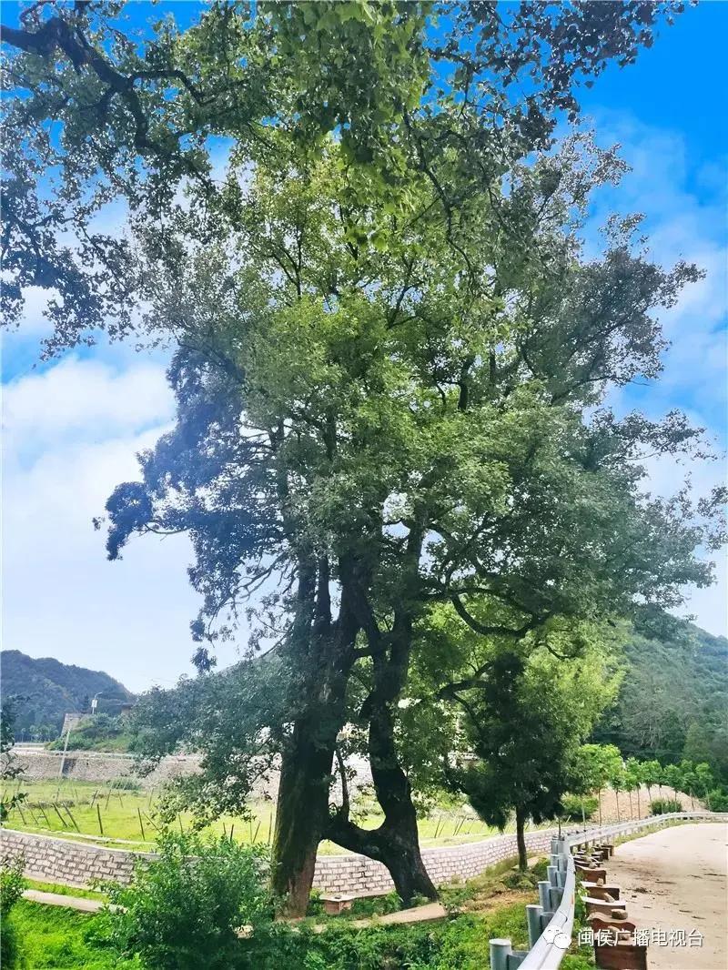 地铁直达！福州又将添一座新公园，花溪湿塘、水乡古桥...