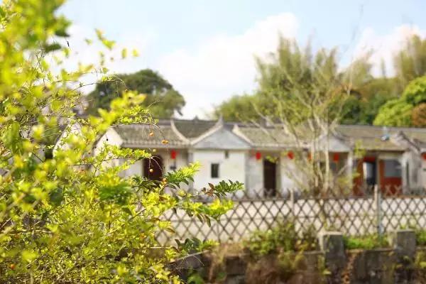 深圳最具特色的十个小镇,深圳深业特色小镇在哪里