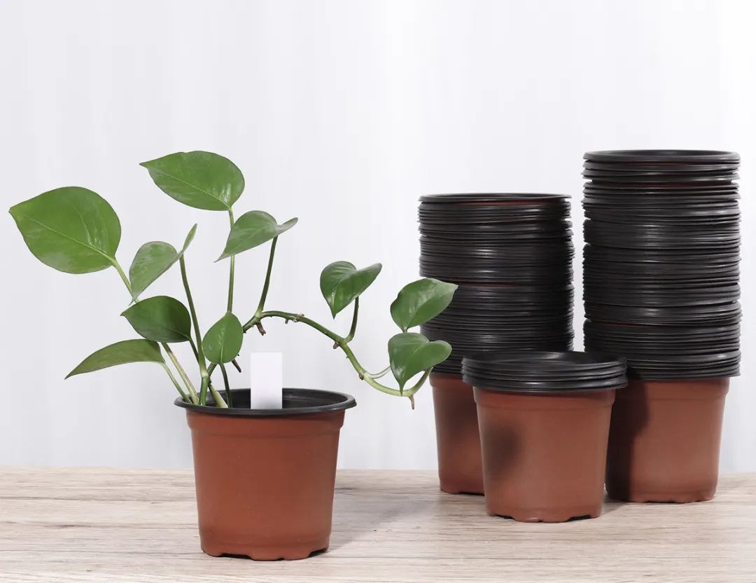 紫砂花盆为啥比红陶花盆还便宜啊,塑料盆什么材质好无毒