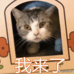 在深圳，这些岗位可以年入百万！你工资月入多少？分享一下