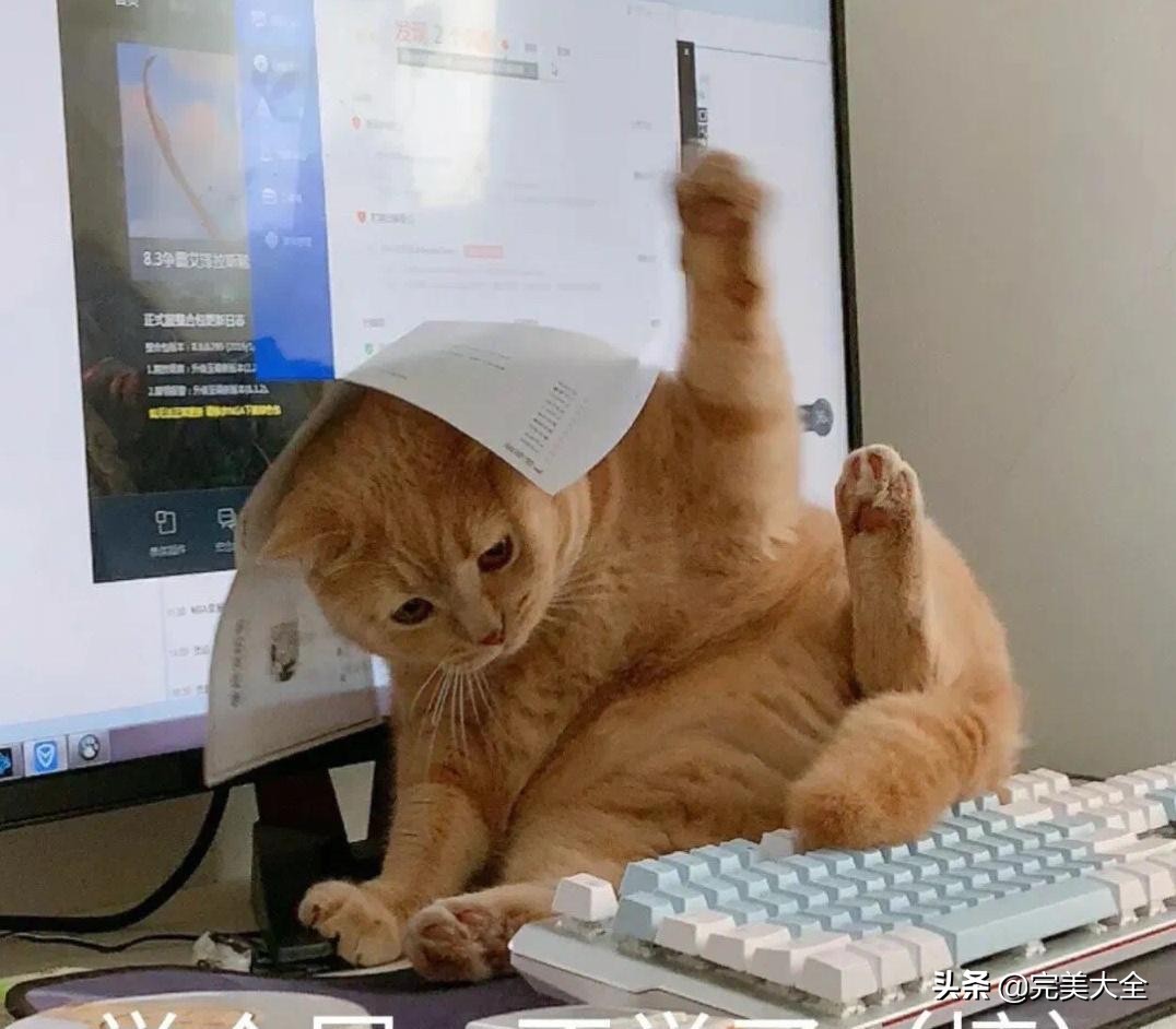 快乐星球女演员长大后现状,快乐星球年龄最小的演员