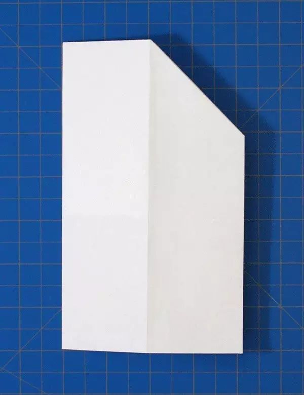 折纸带盖的纸飞机,折纸飞机载客人