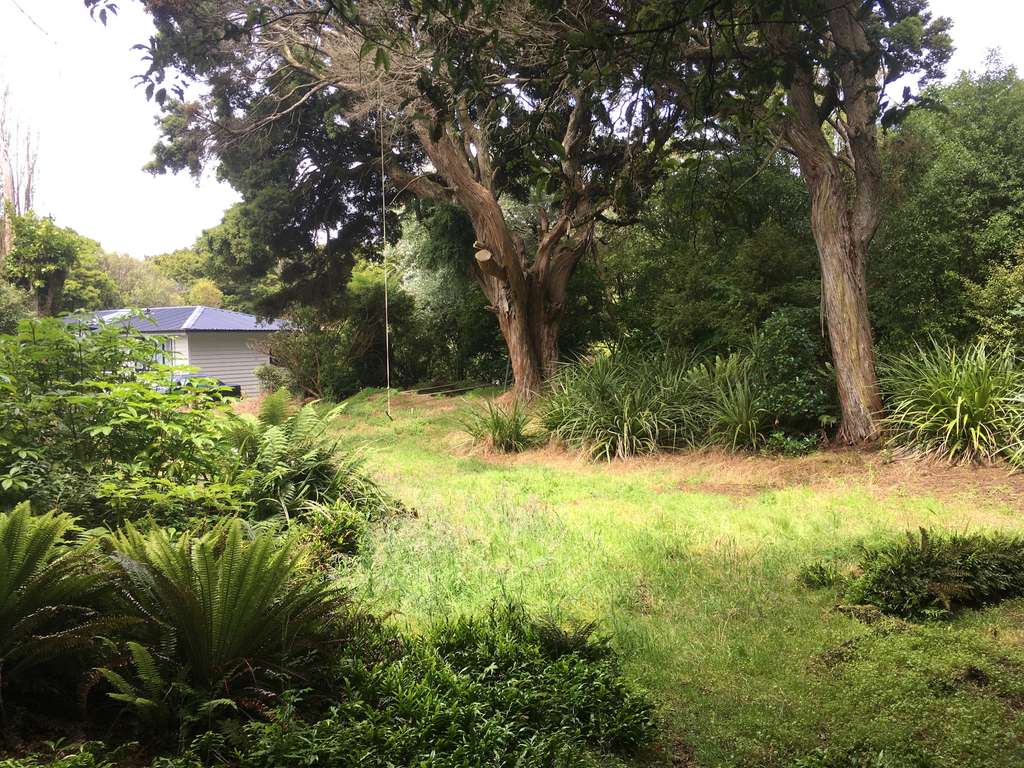 100万人民币在新西兰能买多大房子,100元能在新西兰买些什么