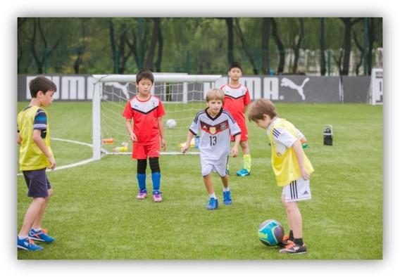 世纪公园有足球场吗,世纪公园800个标准足球场