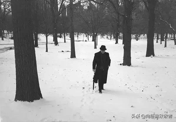 木心谈木心读后感800字,推荐木心文学回忆录