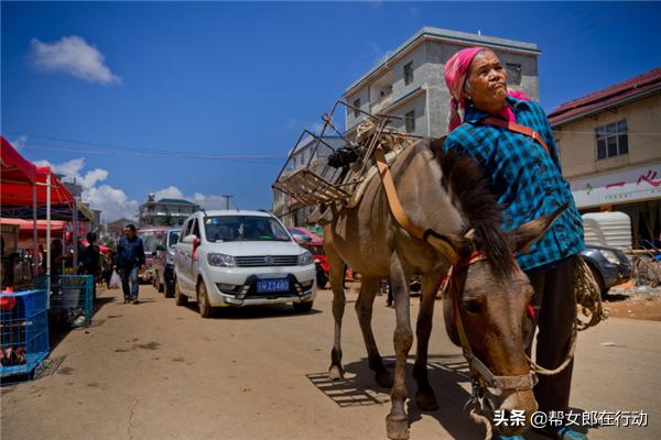 他山之石丨“拼”出新产业，小果子带来脱贫大希望，背后的故事都有啥