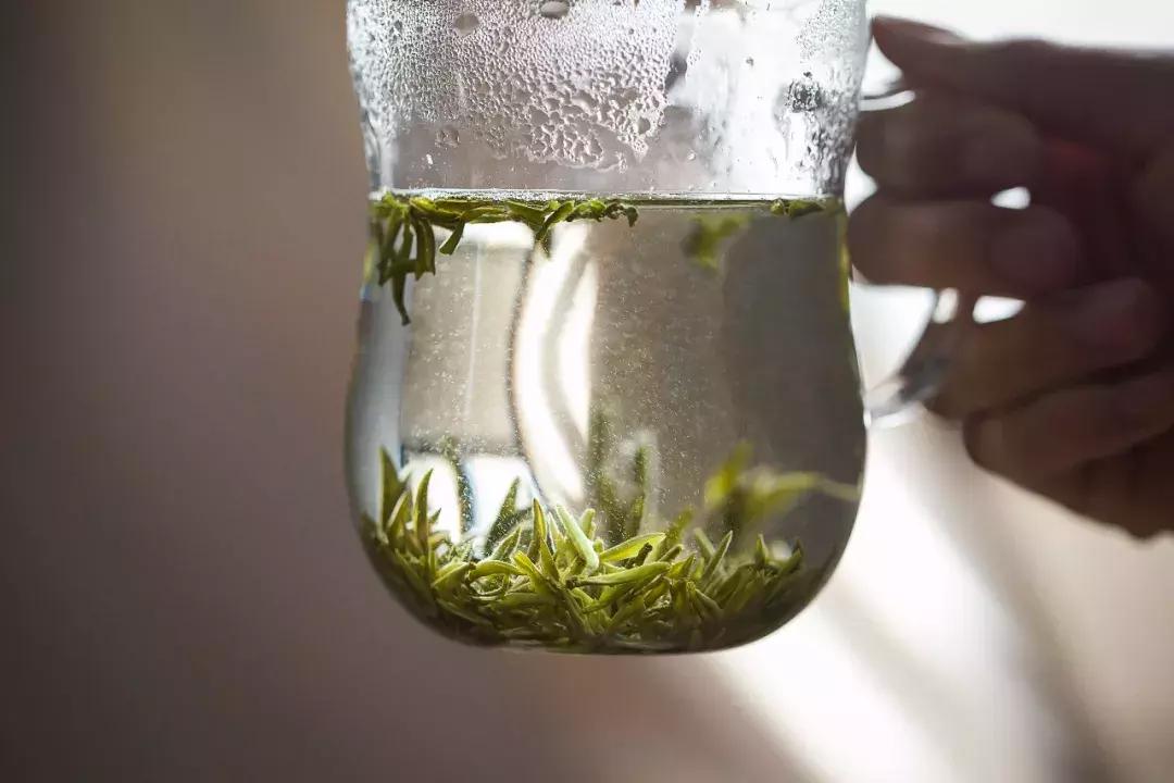 买茶要不要问这是不是新茶,去买茶的时候如何辨别新茶好茶