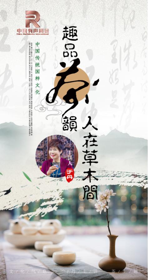 于丹趣品茶韵,于丹趣品茶韵第十四集