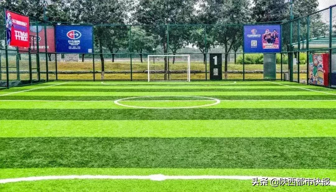 西安免费开放跑道体育场,西安体育场免费开放