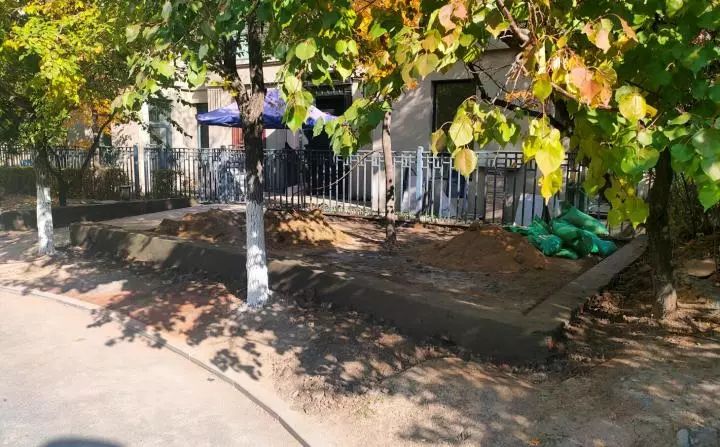 “我就干了，你们能咋地！”观复国际这位业主真“牛”！三个月前刚被处理，如今又毁绿