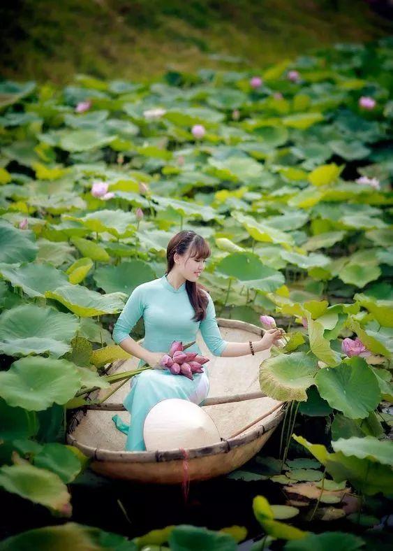 出淤泥而不染荷花之美,如果你是一朵出淤泥而不染的荷花