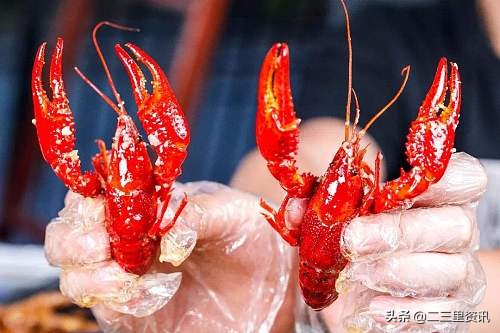 小伙半夜吃三斤小龙虾结果悲剧了,小伙半夜吃六斤小龙虾结果悲剧了