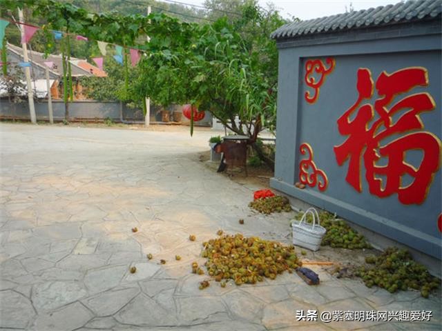 梨木台温福大院实景 (天津蓟县梨木台镇温福大院)
