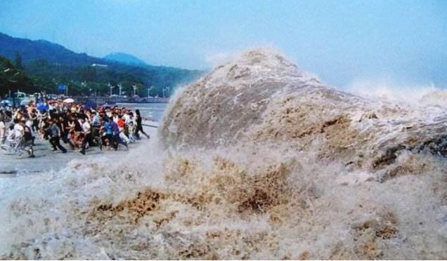 紧急叫停信用卡代还,银联正式出手