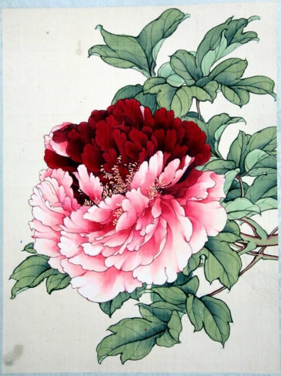 工笔牡丹勾线画法,工笔牡丹十二品设色步骤