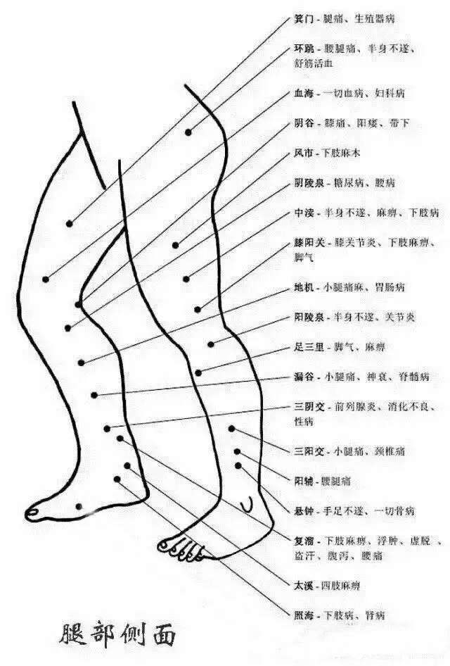 把穴位像药物一样分类后,运用竟如此简单