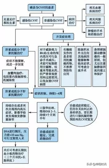 2022中国脑血管病指南,2023中国脑血管病临床管理指南
