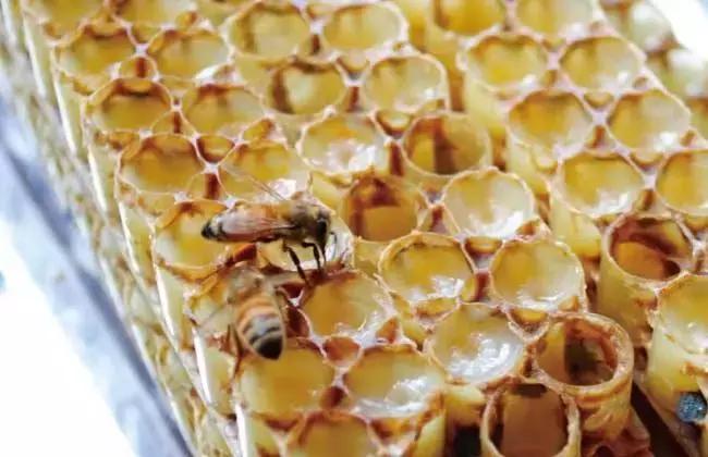 日本这个赛过美白针的王牌内服，让贵妇POLA、SK-II靠边站！