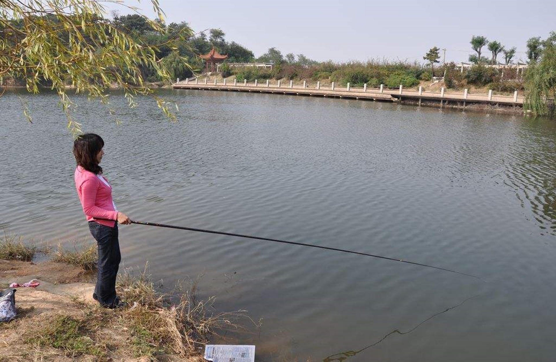 鳙鱼怎样吃食,鳙鱼的生活规律和习性