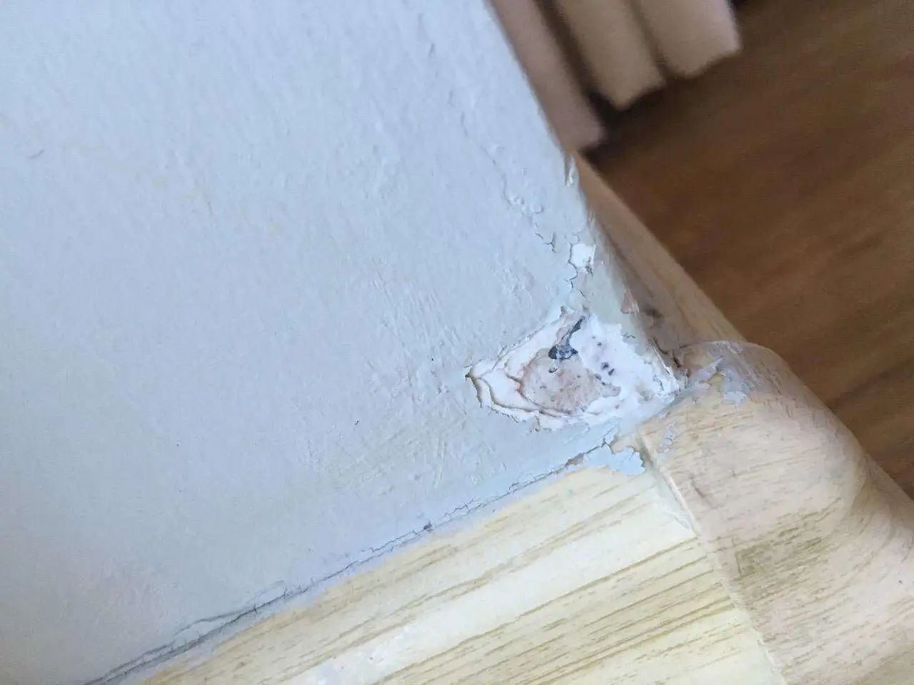 猫咪不习惯吃的表现,猫咪不为人知的用途