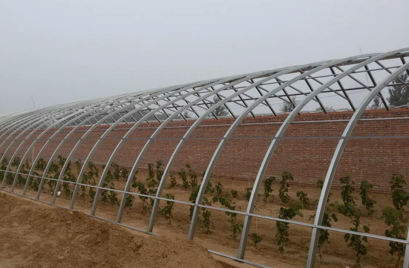 蔬菜种植日光温室时间,日光温室大棚种植什么比较好