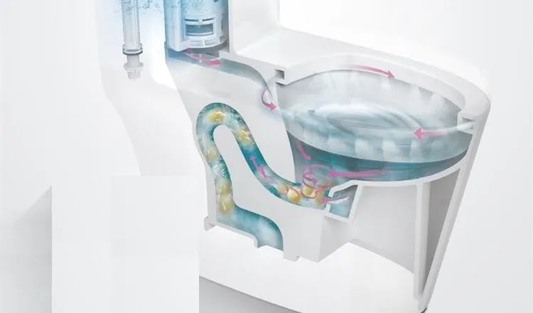 蟒蛇在厕所里不会被淹死吗,上厕所发现蛇钻进眼睛