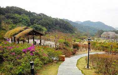 厦门最美隐藏山,厦门旅游最好的山