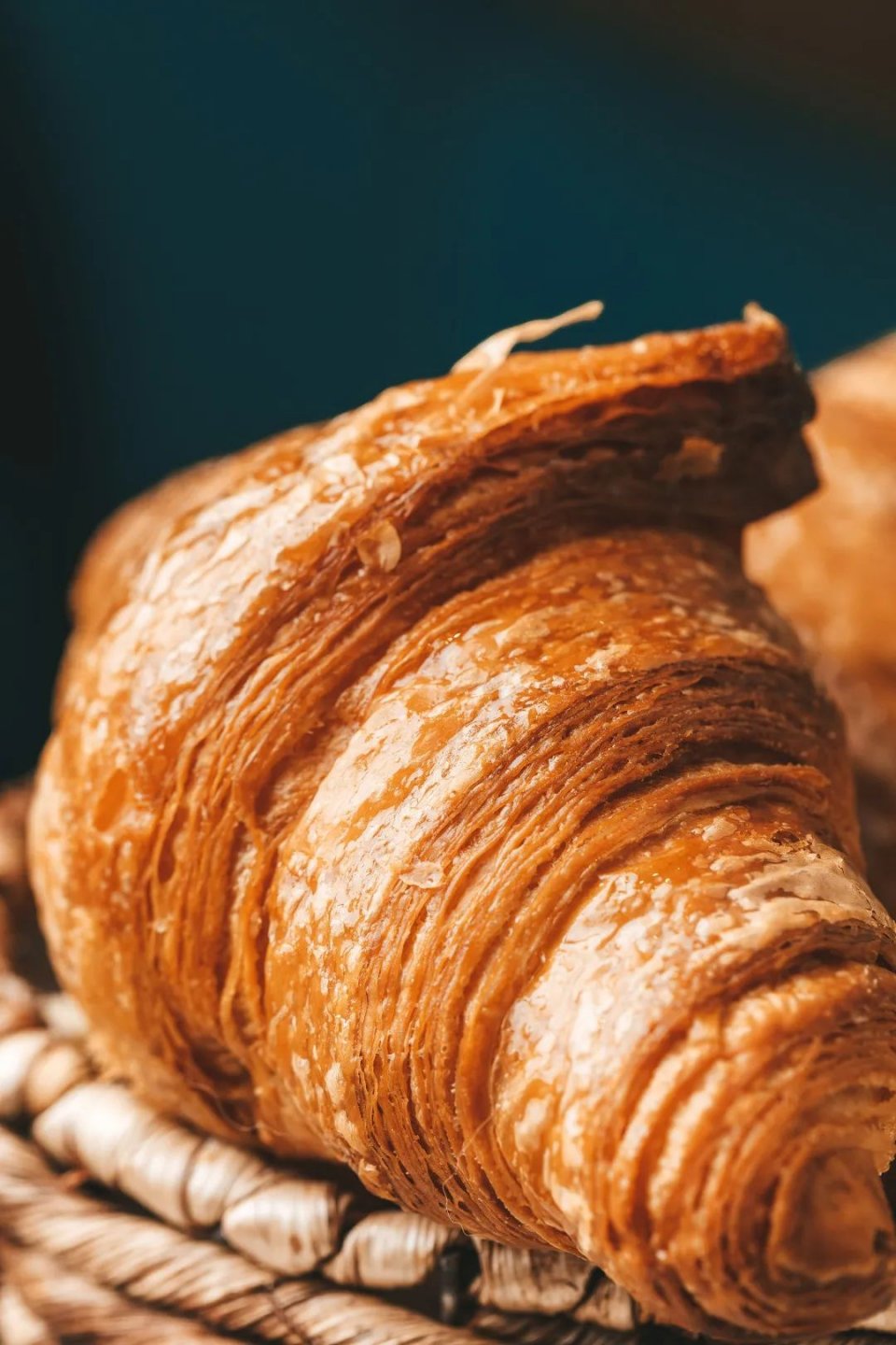 体育西蜂窝可颂,20+种口味!月售10w+