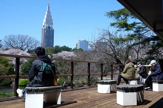 等疫情结束后，听说有很多中国人要去“报复”日本了…