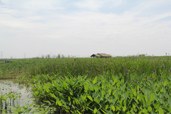 宁波附近一日游古村最佳去处,宁波市内一日游必去景点排行榜