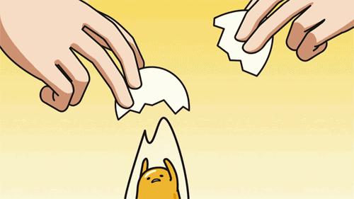 四十元燕窝成本不到一元央视新闻,真正燕窝的价格一般是多少