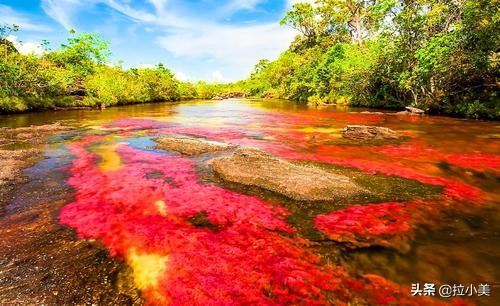哥伦比亚是一个好地方,哥伦比亚之最