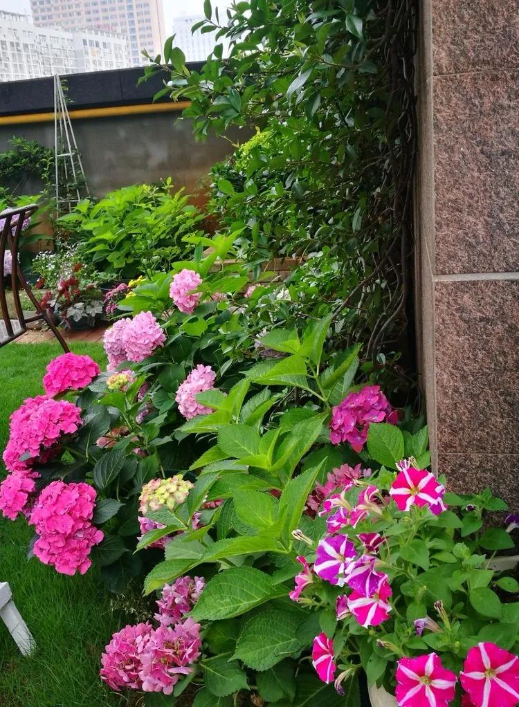 第七届园丁奖,第六届园丁奖奖励