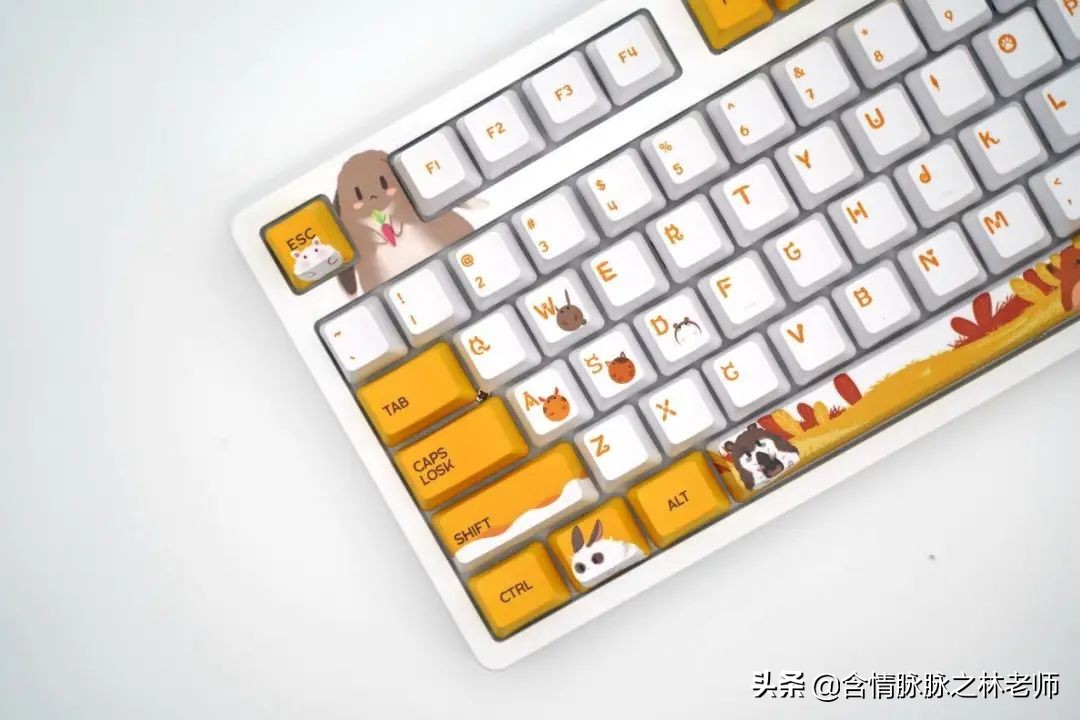 可爱的送给女孩子治愈的礼物,治愈系礼物送女友