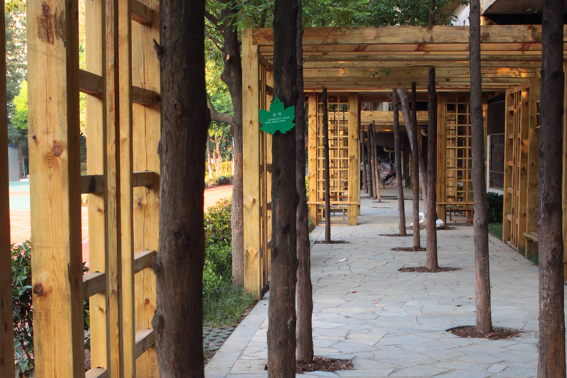 鍗椾含甯傝姵鑽夊洯灏忓缃戠珯,鍗椾含甯傝姵鑽夊洯灏忓鐓х墖